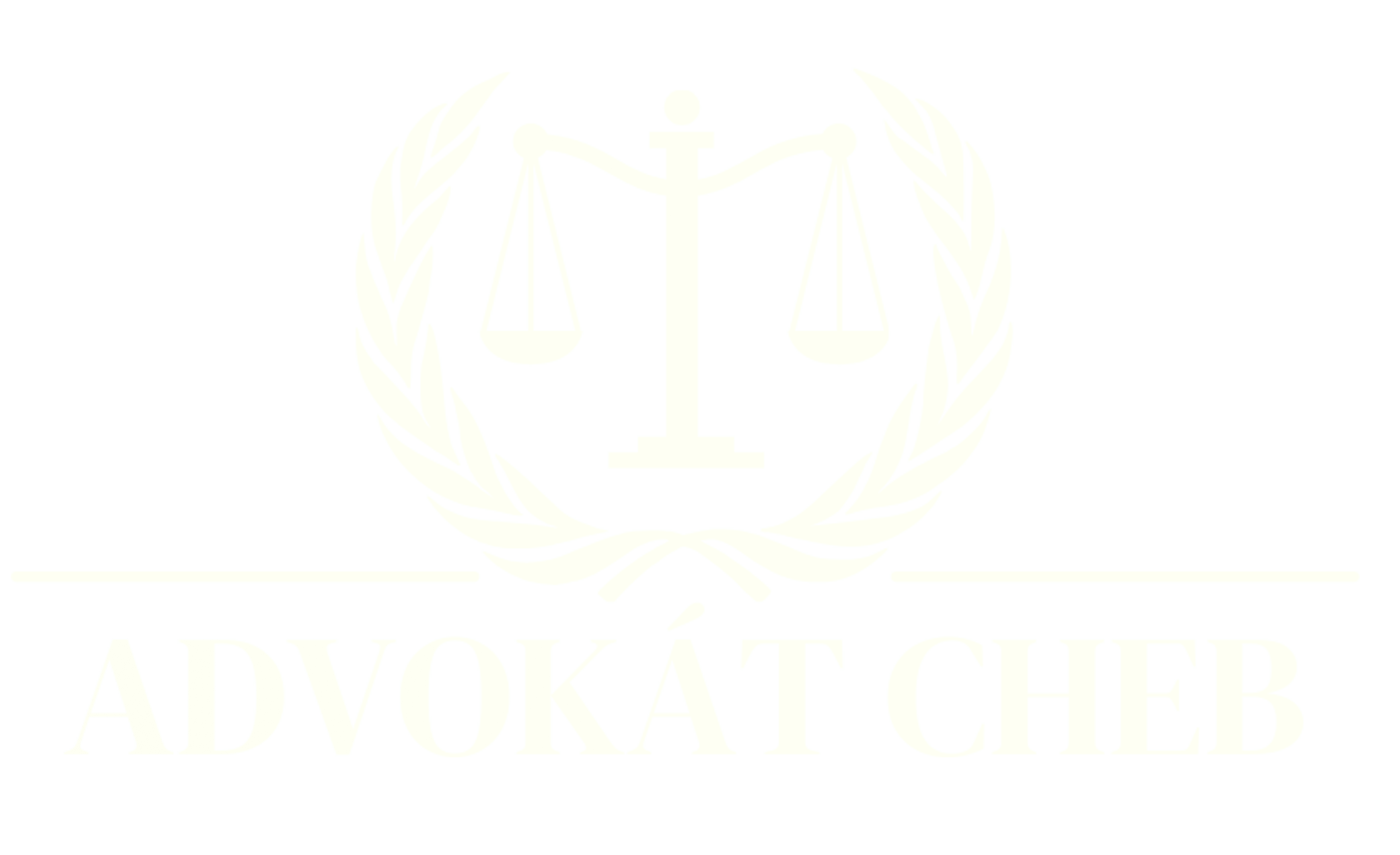 Advokát Cheb